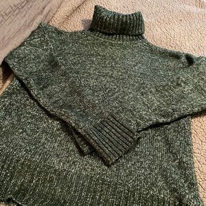 Banana Republic turtle neck sweater size medium in green